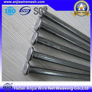 Galvanized Common Nails/Roofing Nais/Concrete Nials